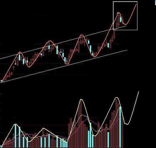 带花的股票（百合花股票）