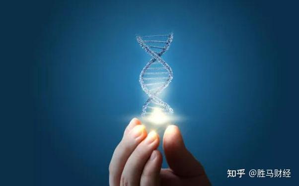 大智慧如何设置年线（大智慧没有实时走势线）