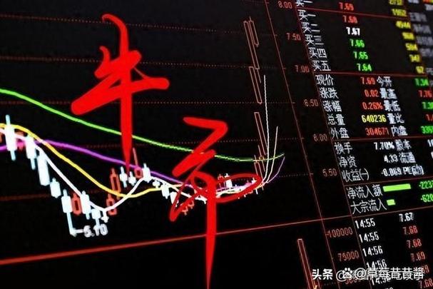 公司债券评级在哪里查询（企业债券查询）