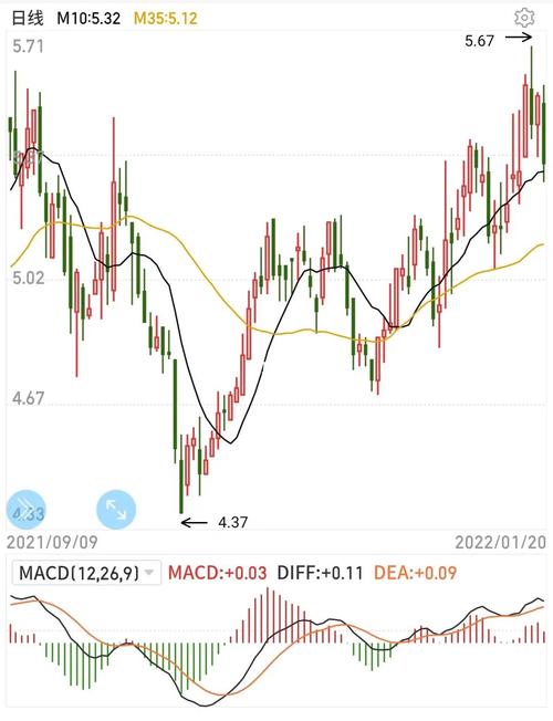 银行债券业务管理（银行债券投资业务）