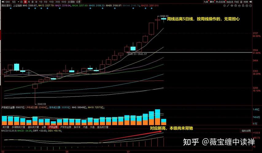 统计指数的概念和作用是什么（指数的概念）