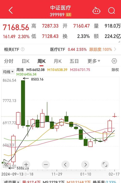 新洁能历史交易数据（新洁能股吧）