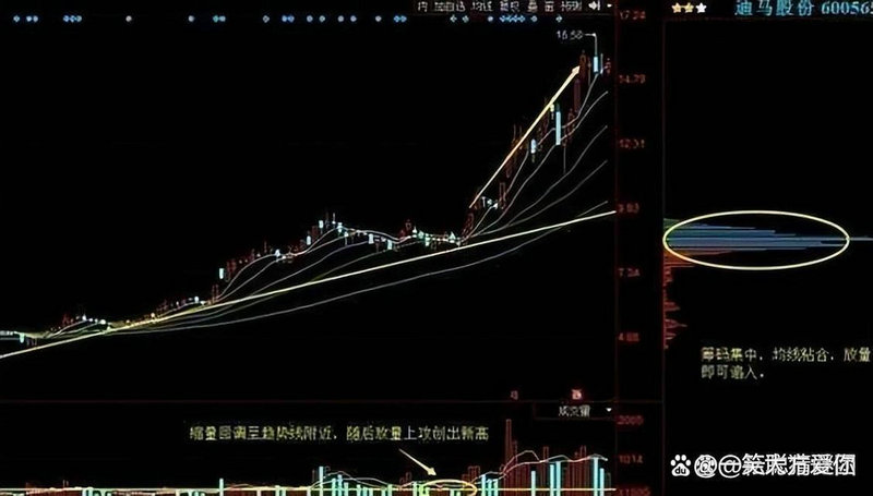 嘉实价值成长混合（国泰鑫睿混合基金程洲）