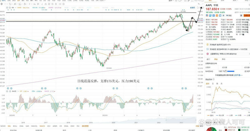 分红多的债券基金（货币基金和债券基金区别）