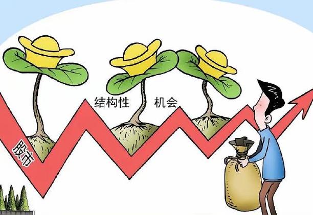 不是所有基金都可以定投（货币基金有必要定投