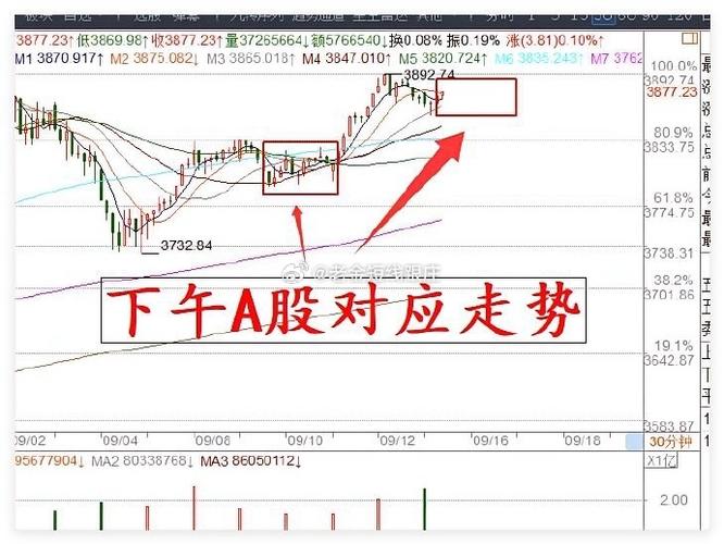 600137浪莎股份（浪莎股份股吧）