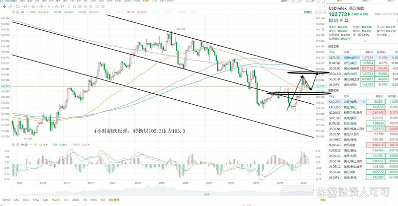 龙头股道全套（福建板块龙头股）