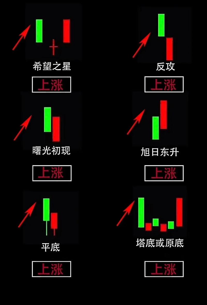 基金配售价格与发行价格同样吗（新大正发行价