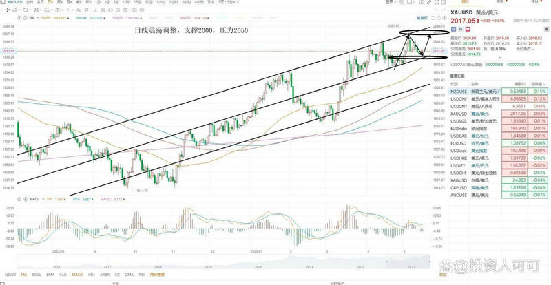 002356赫美集团（赫美集团最新消息）