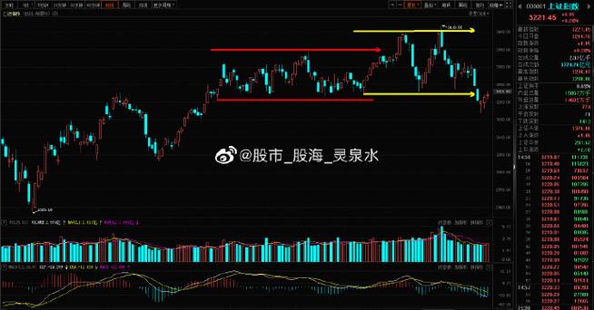 上海证券交易所上市公司公告（2020年9月29日）