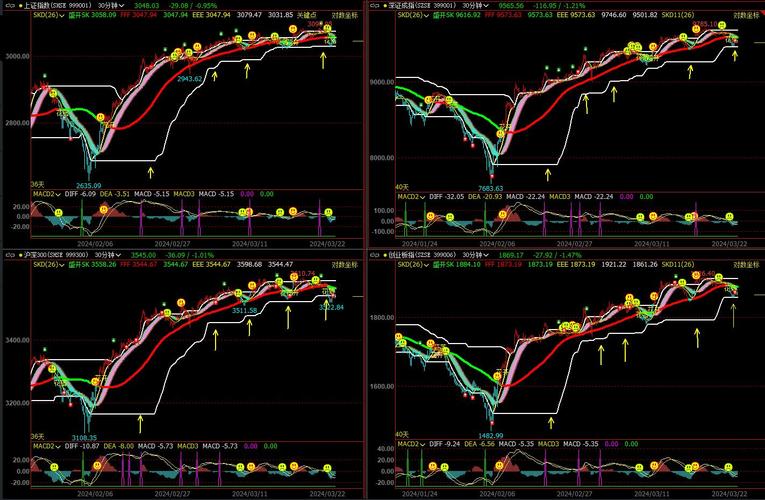 芭田股份参股阿里云（怎么入股阿里巴巴）
