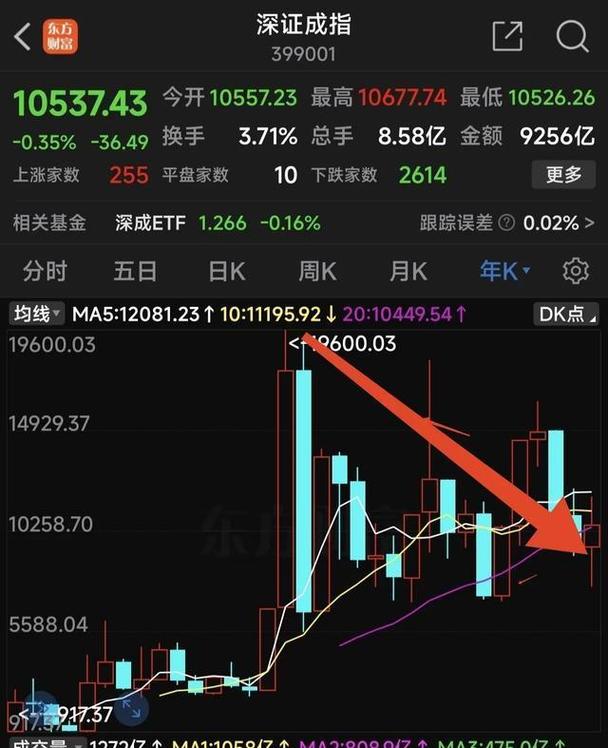 安防设备上市公司（杭州安防上市公司）