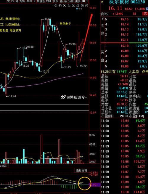 新三板公司特点（新三板指什么）