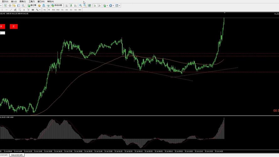基金净值查询040004（华安宝利基金净值分红）