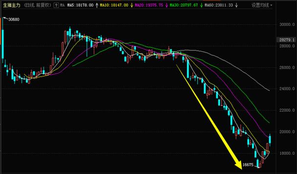 股市开盘价格由什么决定（集合竞价买卖股票技