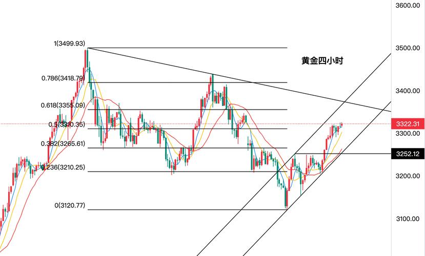 华夏002345净值查询（001924净值）