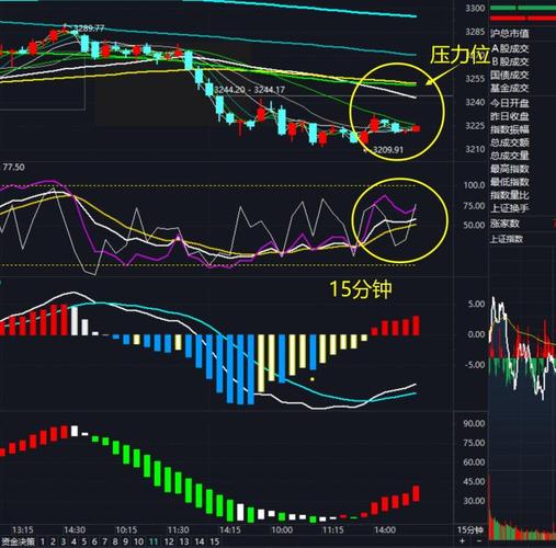 黄光裕的茅台股票（1995年茅台股票价格）