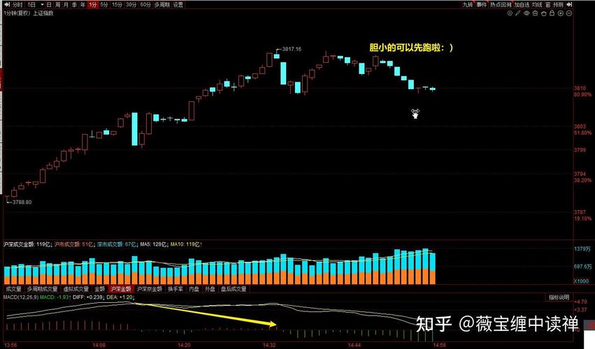 华兴基金排名（消费基金排名前十）