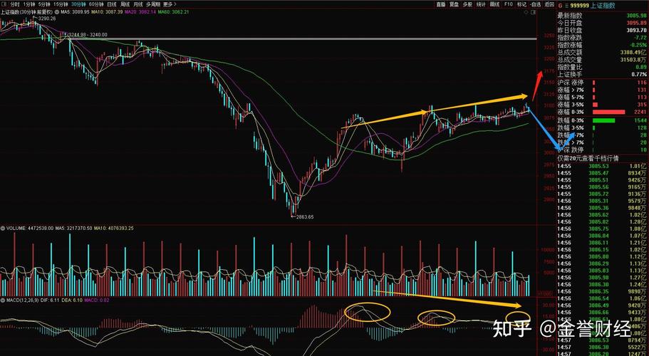 神州细胞公司的产品分析（神州细胞官网）