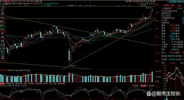 四川种业公司排名（种业公司排名）