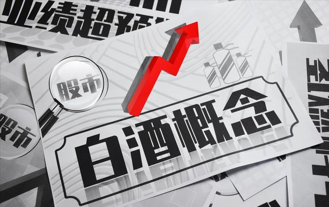 重大非股权投资包括什么（怎样进行股权投资）