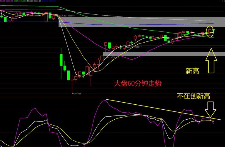 沪深300有哪些公司可以申请（上证50沪深300）
