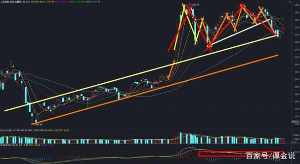 大量投资者涌入新股申购市场 网上打新人数创新高