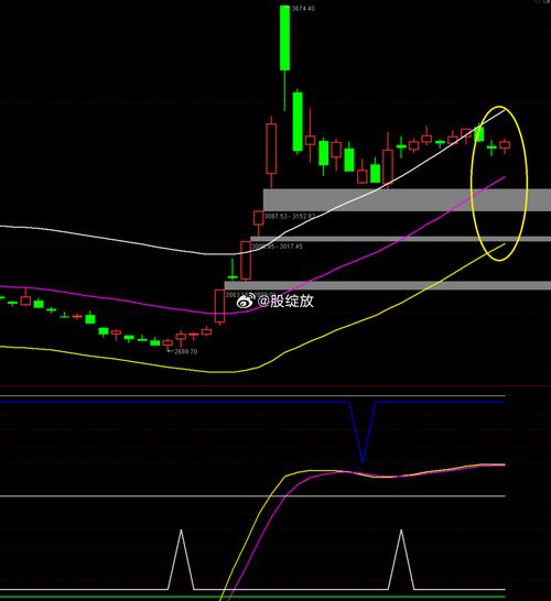 股票发行价高的是多少（工行股票发行价是多少